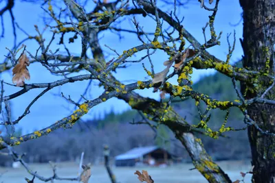 DSC_5831 (Large).JPG